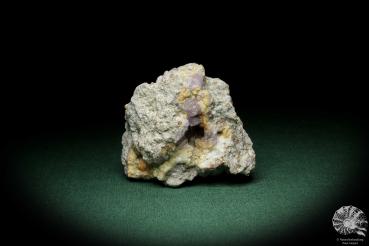 Amethyst XX (8161) ein Mineral aus Italien | Mineralien | Weltweit