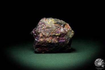 Chalcopyrite (9263) a mineral from Mexico | Minerals | Global