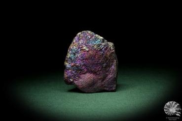 Chalkopyrit (9264) ein Mineral aus Mexiko | Mineralien | Weltweit