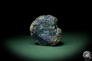 Chalcopyrite (9266) a mineral from Mexico | Minerals | Global