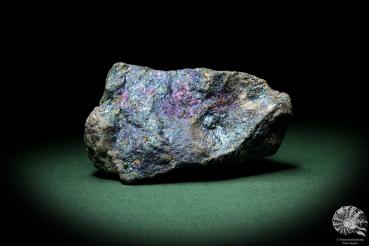 Chalkopyrit (9267) ein Mineral aus Mexiko | Mineralien | Weltweit