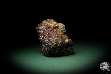 Chalkopyrit (9269) ein Mineral aus Mexiko | Mineralien | Weltweit