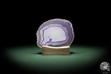 Agate Slice (9784) a mineral from South America | Crafts | From Minerals